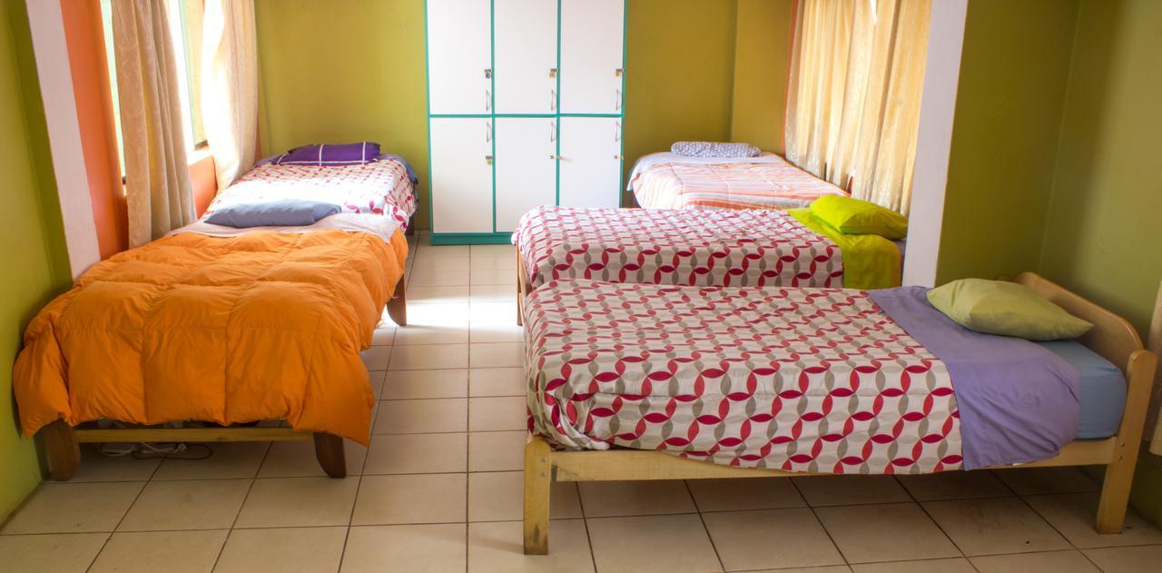 The Grasshopper Hostel كوسكو المظهر الخارجي الصورة
