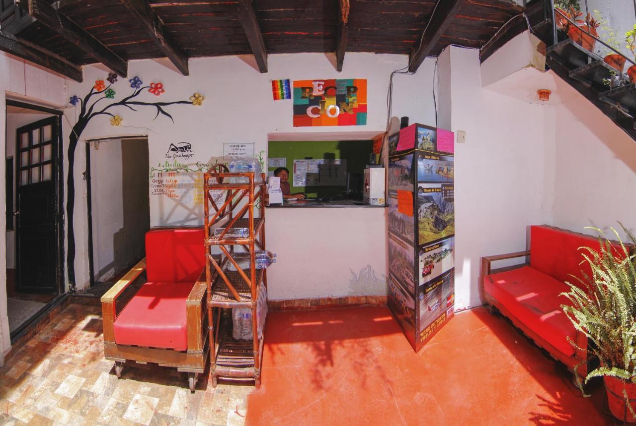 The Grasshopper Hostel كوسكو المظهر الخارجي الصورة